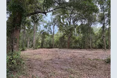 1410 NW 10th Street, Chiefland, FL 32626 - Photo 4