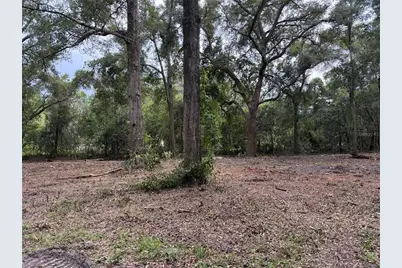 1410 NW 10th Street, Chiefland, FL 32626 - Photo 6