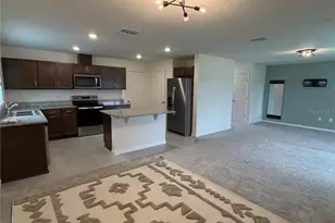 8328 Wilder Pnes Ave, Lakeland, FL 33809 - Photo 12