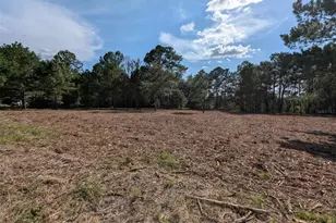 5781 SW 91st Pl, Lake Butler, FL 32054 - Photo 1