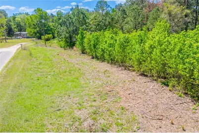 5781 SW 91st Place, Lake Butler, FL 32054 - Photo 8