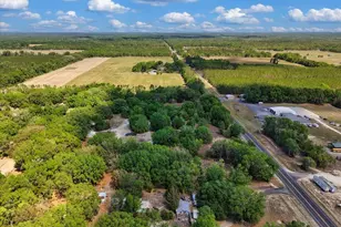 3169 N US Hwy 129, Bell, FL 32619 - Photo 36