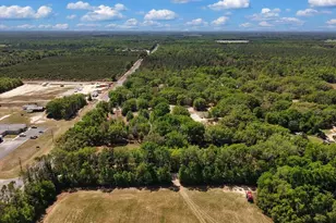 3169 N US Hwy 129, Bell, FL 32619 - Photo 32