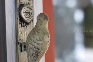 4821 SW 53rd Terrace, Trenton, FL 32693 - Photo 70