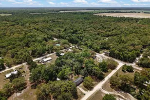 8731 NW 127th Pl, Chiefland, FL 32626 - Photo 40