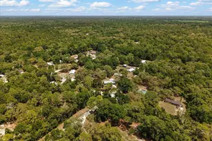 8731 NW 127th Pl, Chiefland, FL 32626 - Photo 44