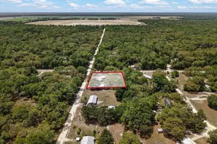 8731 NW 127th Pl, Chiefland, FL 32626 - Photo 46