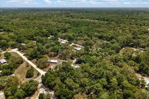8731 NW 127th Pl, Chiefland, FL 32626 - Photo 38