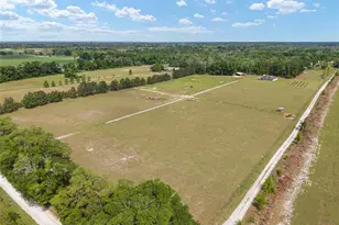 3725 172nd St, Wellborn, FL 32094 - Photo 4