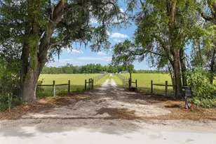 3725 172nd St, Wellborn, FL 32094 - Photo 4