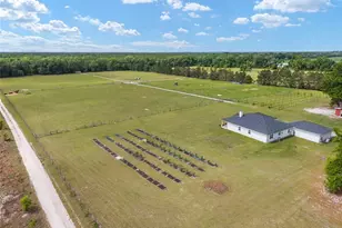 3725 172nd St, Wellborn, FL 32094 - Photo 20