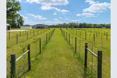 3725 172nd Street, Wellborn, FL 32094 - Photo 22