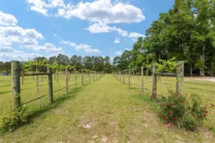 3725 172nd St, Wellborn, FL 32094 - Photo 90