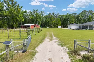 3725 172nd St, Wellborn, FL 32094 - Photo 8