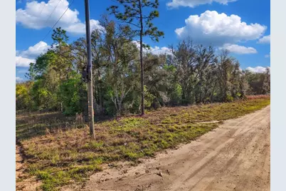 Lot 362 NE 82nd Place, Bronson, FL 32621 - Photo 10