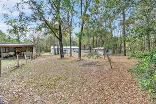 14395 NE 50th Pl, Williston, FL 32696 - Photo 22