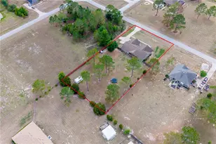 11311 NW 74th Ct, Chiefland, FL 32626 - Photo 48