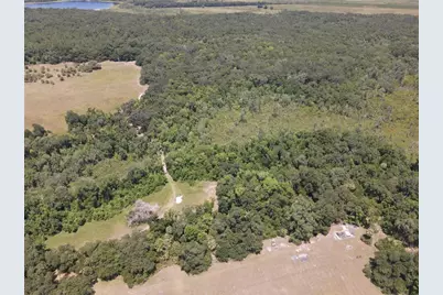 11804 SE County Road 234, Micanopy, FL 32667 - Photo 52