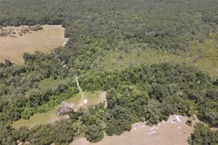 11804 SE County Road 234, Micanopy, FL 32667 - Photo 52