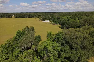 11804 SE County Road 234, Micanopy, FL 32667 - Photo 10