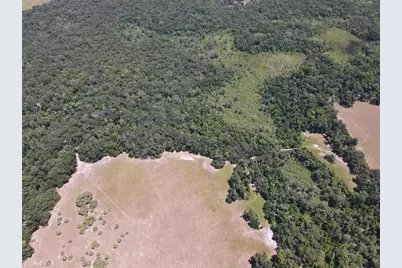 11804 SE County Road 234, Micanopy, FL 32667 - Photo 44