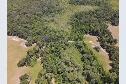 11804 SE County Road 234, Micanopy, FL 32667 - Photo 48