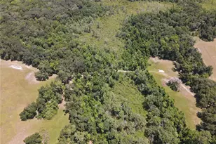 11804 SE County Road 234, Micanopy, FL 32667 - Photo 48