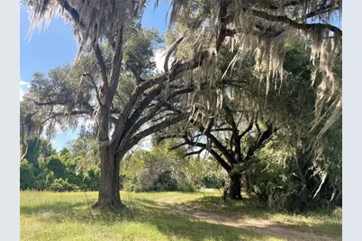 11804 SE County Road 234, Micanopy, FL 32667 - Photo 28