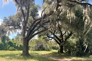 11804 SE County Road 234, Micanopy, FL 32667 - Photo 28