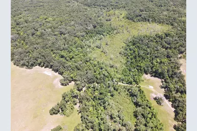 11804 SE County Road 234, Micanopy, FL 32667 - Photo 46