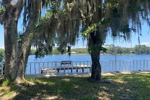 229 Lake Ida Point Dr, Interlachen, FL 32148 - Photo 16