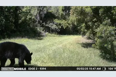 11816 SE County Road 234, Micanopy, FL 32667 - Photo 68