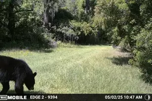 11816 SE County Road 234, Micanopy, FL 32667 - Photo 68