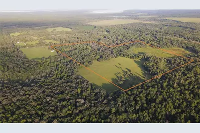 11816 SE County Road 234, Micanopy, FL 32667 - Photo 1