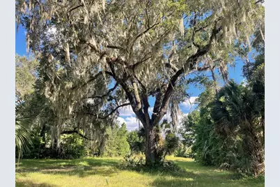 11816 SE County Road 234, Micanopy, FL 32667 - Photo 74