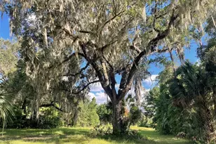 11816 SE County Road 234, Micanopy, FL 32667 - Photo 74