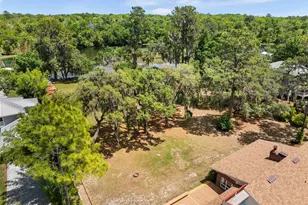 9075 SW 190th Avenue Rd, Dunnellon, FL 34432 - Photo 4
