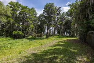 7305 NE 222nd St, Melrose, FL 32666 - Photo 20