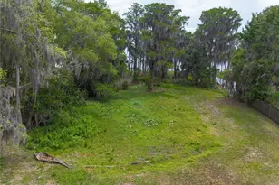 7305 NE 222nd St, Melrose, FL 32666 - Photo 48