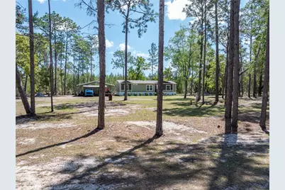 221 Magnolia Road, Hawthorne, FL 32640 - Photo 40