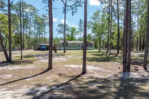 221 Magnolia Rd, Hawthorne, FL 32640 - Photo 40