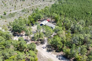 221 Magnolia Rd, Hawthorne, FL 32640 - Photo 20