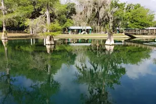 9061 Katherine Way, Fanning Springs, FL 32693 - Photo 48
