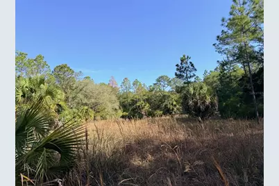 6650 NW 110th Avenue, Chiefland, FL 32626 - Photo 22