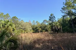 6650 NW 110 Ave, Chiefland, FL 32626 - Photo 22