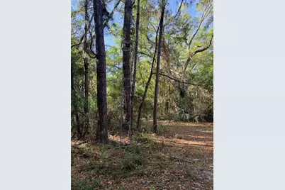 6650 NW 110th Avenue, Chiefland, FL 32626 - Photo 12