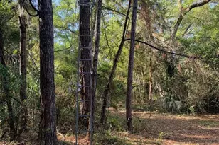 6650 NW 110 Ave, Chiefland, FL 32626 - Photo 12