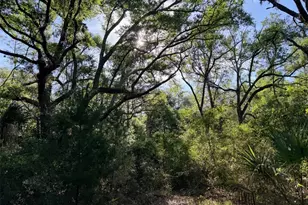 6650 NW 110 Ave, Chiefland, FL 32626 - Photo 14