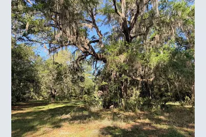 6650 NW 110th Avenue, Chiefland, FL 32626 - Photo 10
