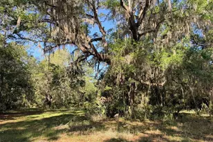 6650 NW 110 Ave, Chiefland, FL 32626 - Photo 10